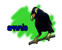 Nok Khunthxng sticker #15826390