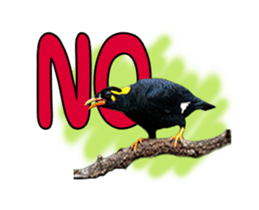 Nok Khunthxng sticker #15826393