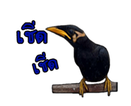 Nok Khunthxng sticker #15826394