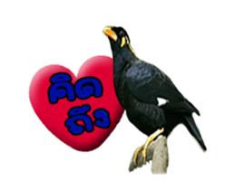 Nok Khunthxng sticker #15826395