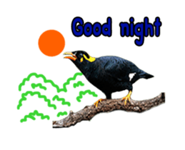 Nok Khunthxng sticker #15826396