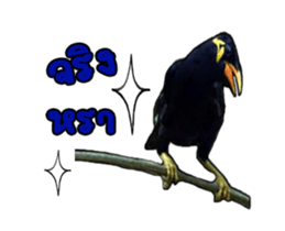 Nok Khunthxng sticker #15826398