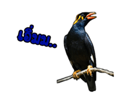 Nok Khunthxng sticker #15826399