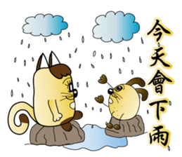 Majicat rabbit pills sticker #15826604