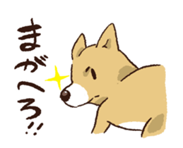 TSUGARU PUPPY sticker #15826955