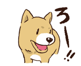 TSUGARU PUPPY sticker #15826957