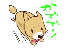 TSUGARU PUPPY sticker #15826967