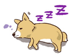 TSUGARU PUPPY sticker #15826975