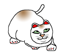 Emotion of cats sticker #15827258