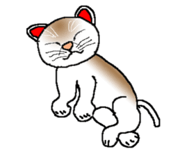 Emotion of cats sticker #15827264