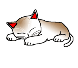 Emotion of cats sticker #15827268