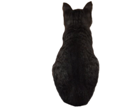Hamdude sticker #15827575