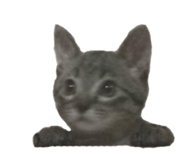 Hamdude sticker #15827578