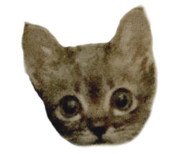 Hamdude sticker #15827582