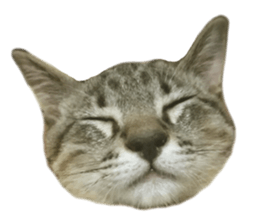 Hamdude sticker #15827594