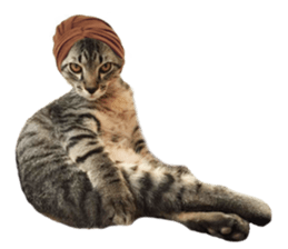 Hamdude sticker #15827601