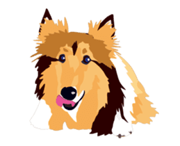 It moves! Exciting Sheltie sticker #15827608