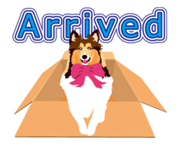 It moves! Exciting Sheltie sticker #15827614