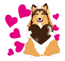 It moves! Exciting Sheltie sticker #15827618