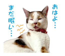 she name is milk sticker #15827730