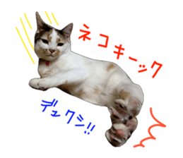 she name is milk sticker #15827733