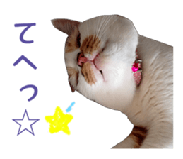 she name is milk sticker #15827734