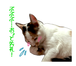 she name is milk sticker #15827736