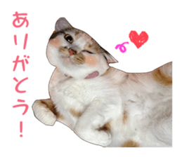 she name is milk sticker #15827742