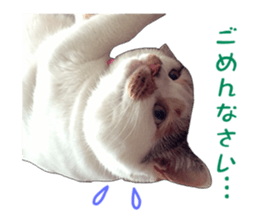 she name is milk sticker #15827745
