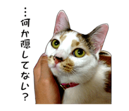 she name is milk sticker #15827748