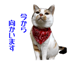she name is milk sticker #15827754