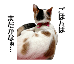 she name is milk sticker #15827758