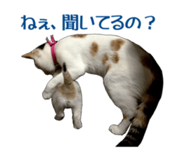 she name is milk sticker #15827761