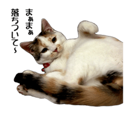 she name is milk sticker #15827762