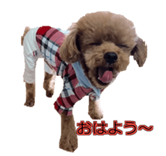 till dog be healed sticker #15828218