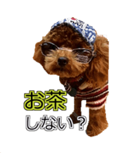 till dog be healed sticker #15828219