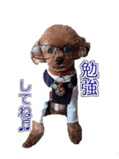 till dog be healed sticker #15828220