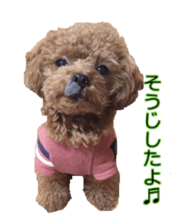 till dog be healed sticker #15828221