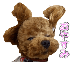 till dog be healed sticker #15828223