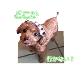 till dog be healed sticker #15828224