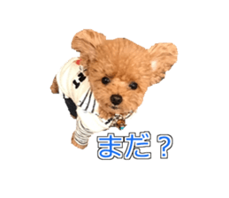 till dog be healed sticker #15828225