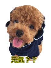 till dog be healed sticker #15828226