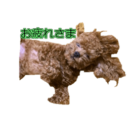 till dog be healed sticker #15828228