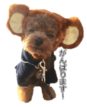 till dog be healed sticker #15828229