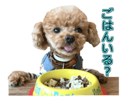 till dog be healed sticker #15828230