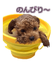 till dog be healed sticker #15828231