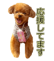 till dog be healed sticker #15828232