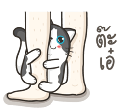 Cat Named FullMoon sticker #15830500
