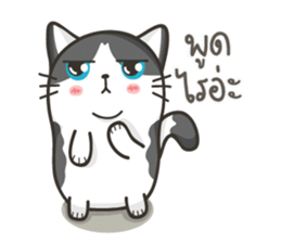 Cat Named FullMoon sticker #15830501