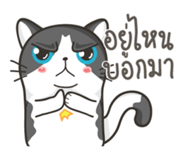 Cat Named FullMoon sticker #15830505